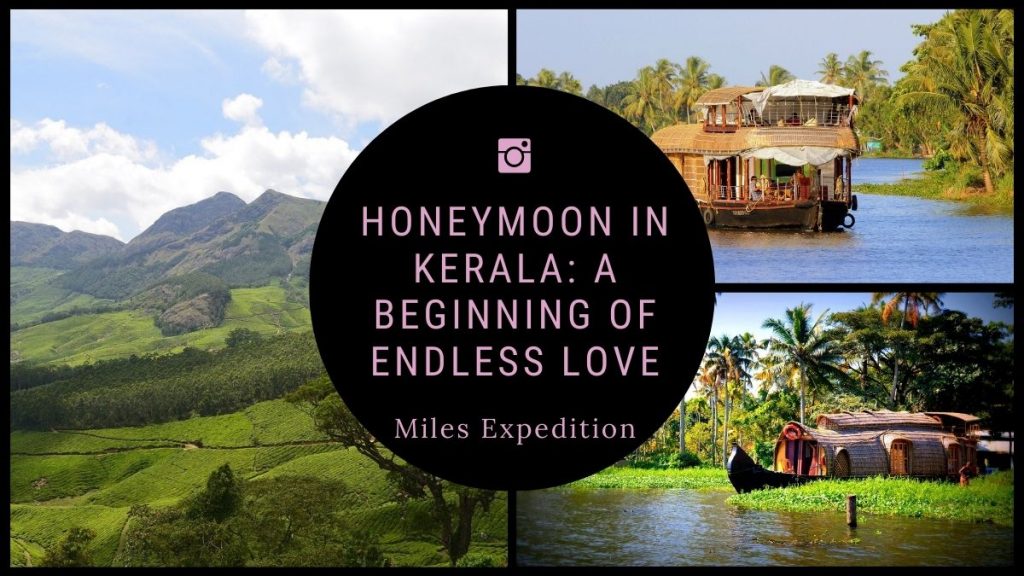 Honeymoon in Kerala: A Beginning of Endless Love